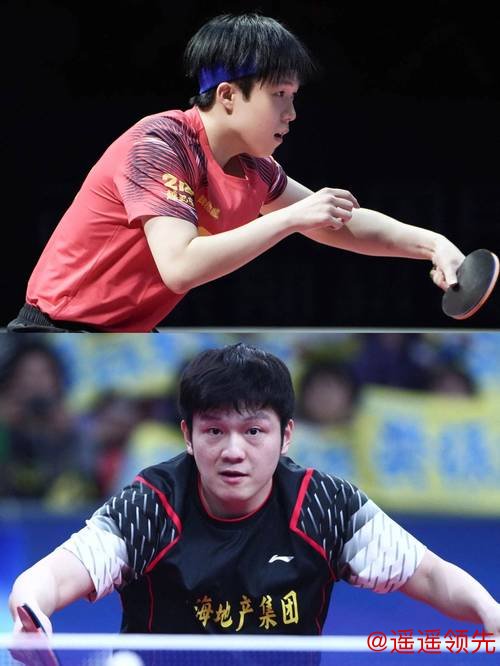 亚运会樊振东王楚钦先后赢球 国乒锁定男单金牌