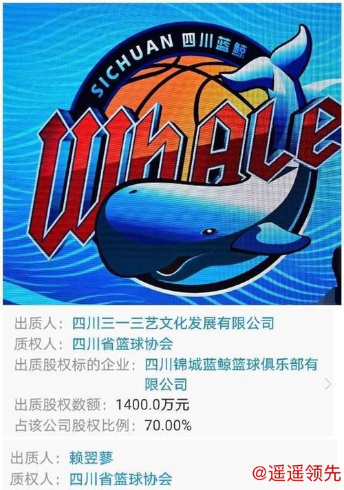 四川男篮欠债高达658亿，股权质押给球员发工资，<a href=