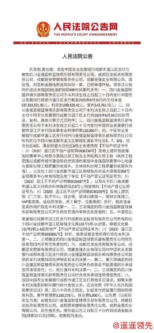 四川男篮欠债高达658亿，股权质押给球员发工资，生存陷入绝境