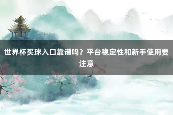 世界杯买球入口靠谱吗？平台稳定性和新手使用要注意