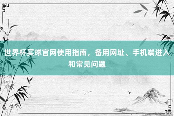 世界杯买球官网使用指南，备用网址、手机端进入和常见问题