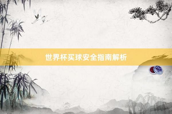 世界杯买球安全指南解析